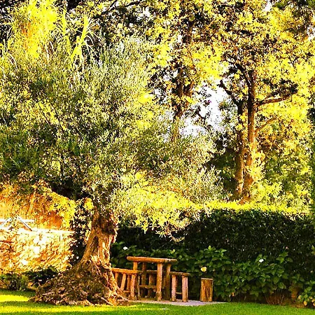 Vila Therese Saint Tropez